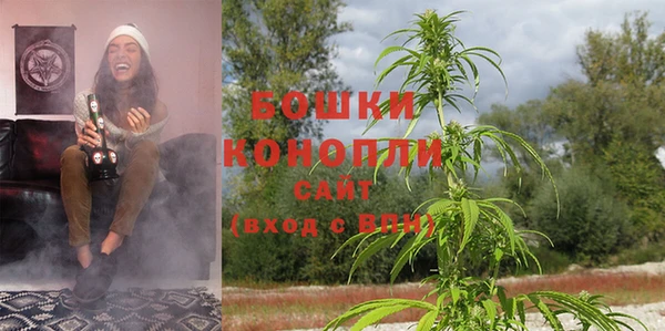 дживик Беломорск