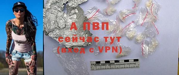 дживик Беломорск