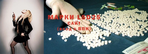 круглые Белокуриха